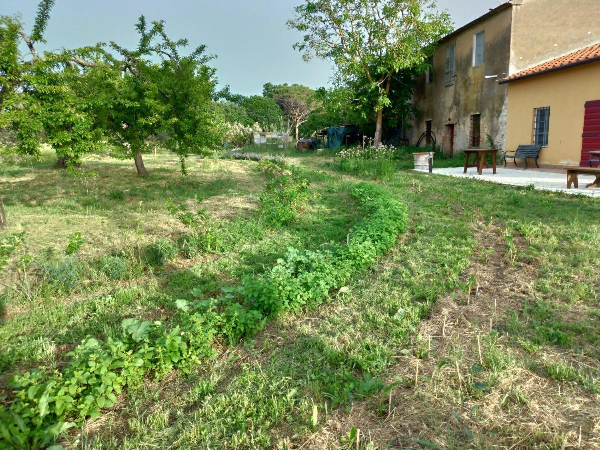 Casa Daria, Armonia Del Passato Nel Rispetto Della Natura Donoratico Exterior photo